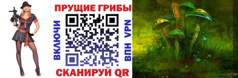 Псилоцибиновые грибы Cubensis  закладки  Тихвин 