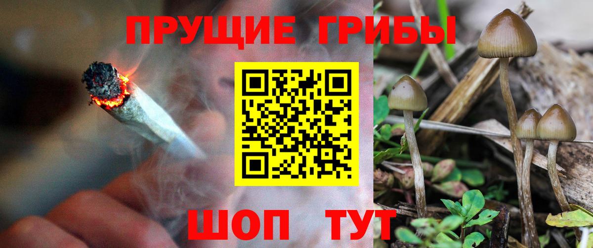 Псилоцибиновые грибы мухоморы  Вход с VPN  Тихвин 
