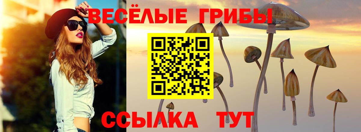 Псилоцибиновые грибы Magic Shrooms Тихвин